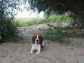 photo03