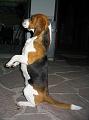 photo24
