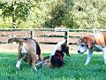 IMG_0193