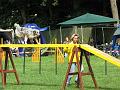 IMG_0559
