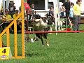 IMG_0705