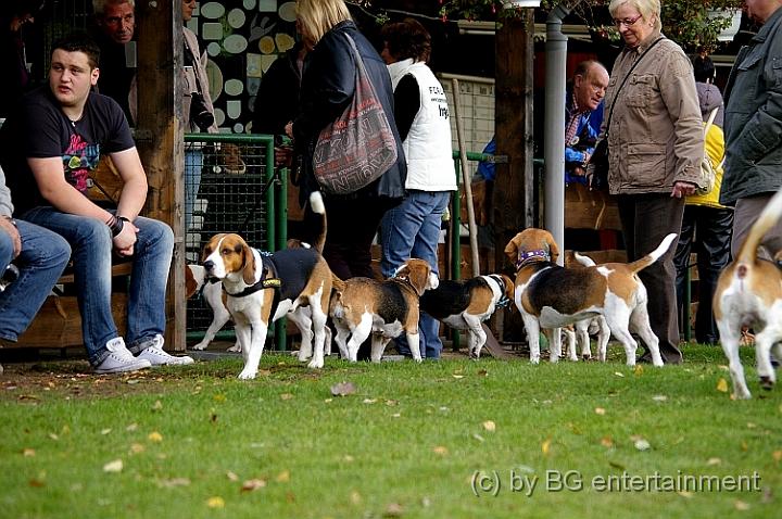 IMGP3102.jpg - Meute, Menschen und Hunde