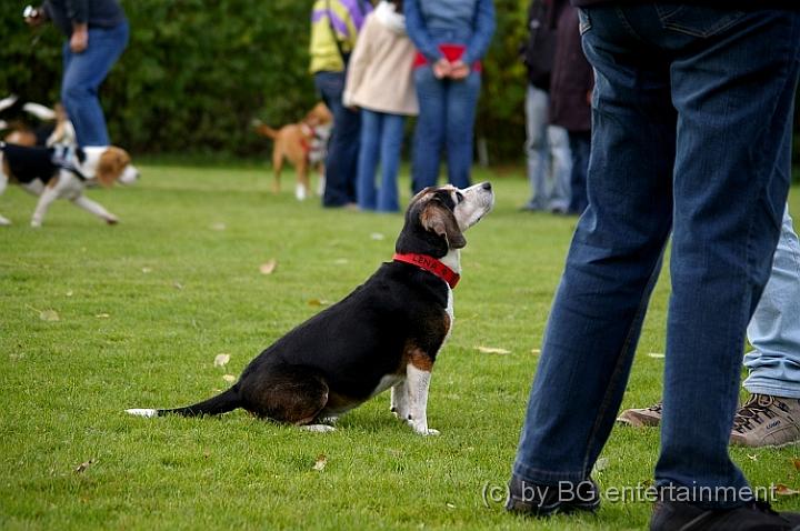 IMGP3155.jpg - Ich bin ein armer verhungerter Hund. Ich bin ein armer verhungerter Hund. Ich bin ein armer verhungerter Hund. Ich bin.... GIB MIR LECKERCHEN!   :-D