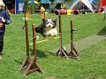 2007-05-19_Agi-Turnier