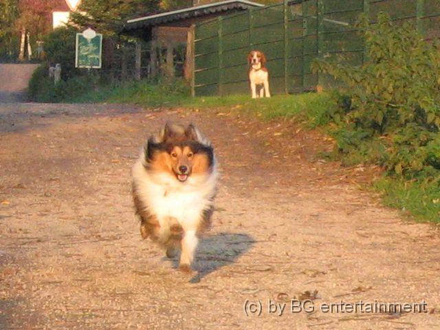 IMG_0055.jpg