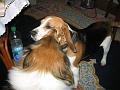 IMG_0019