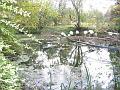 IMG_0028