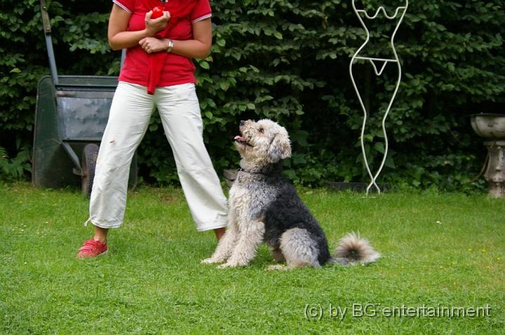 IMGP5042.jpg - Momo und Frauchen üben...