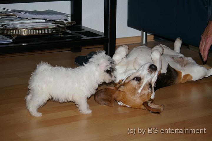 IMGP9892.jpg - LIEBE MIR!