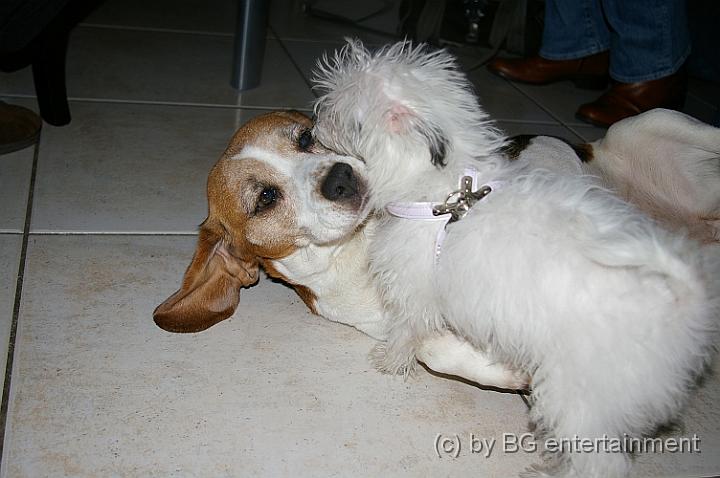 IMGP0078.jpg - Knutschen