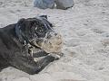 IMG_0090