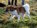 IMG_0096a