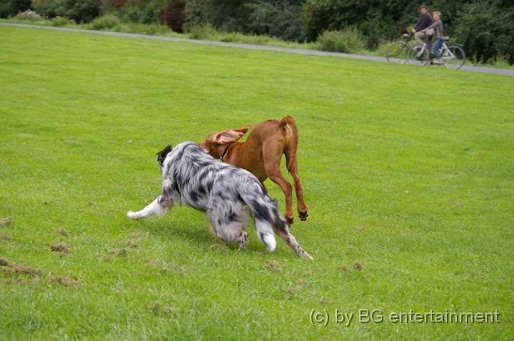 IMGP2292.JPG - Isch krisch Disch!