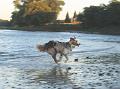 2006-09-21_Haevel