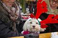 2007-12-09_Weihnachtslauf