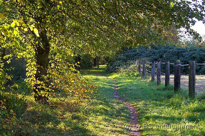 IMGP2870.jpg - Fussweg zwischen den Pferdekoppeln in Lohausen