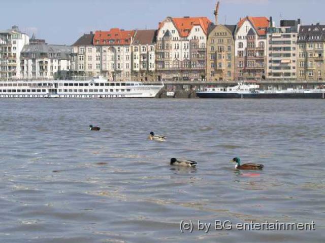 photo24.jpg - Idylle am Rheinufer