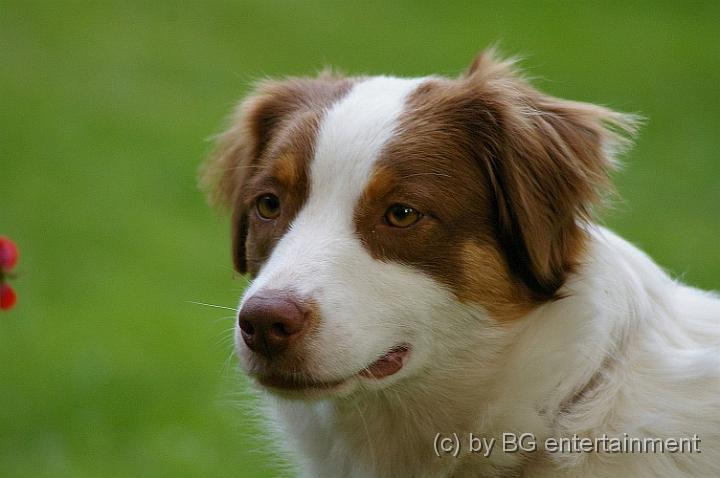 IMGP2260a.jpg - Luna-Portrait