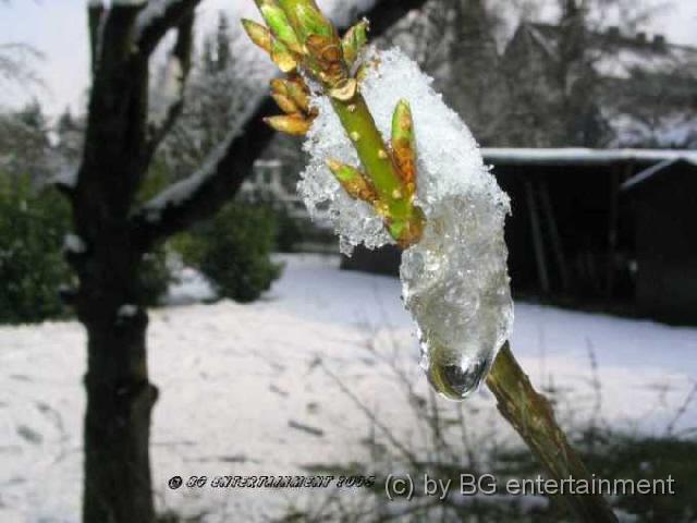 photo02.jpg