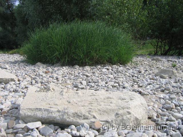 photo06.jpg