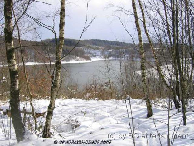 photo07.jpg