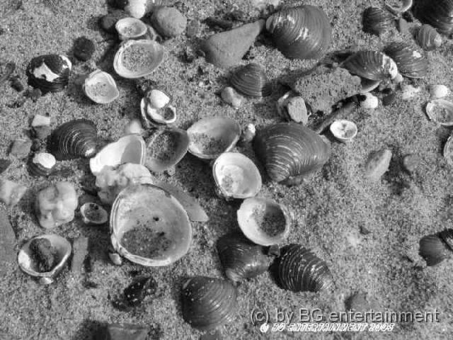 photo08.jpg