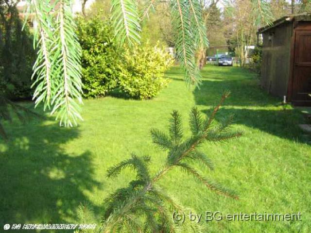 photo13.jpg