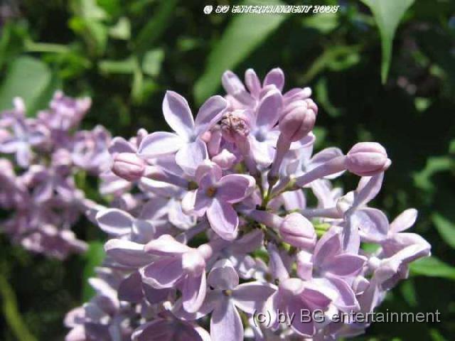 photo19.jpg