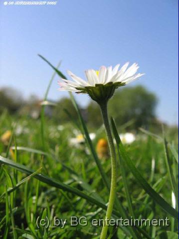 photo20.jpg