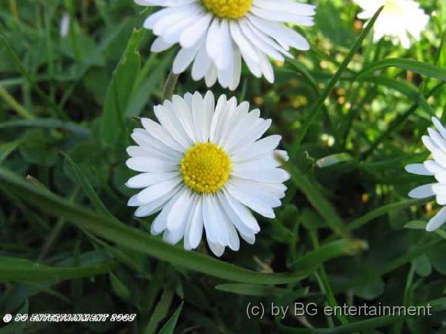 photo21.jpg