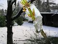 photo02