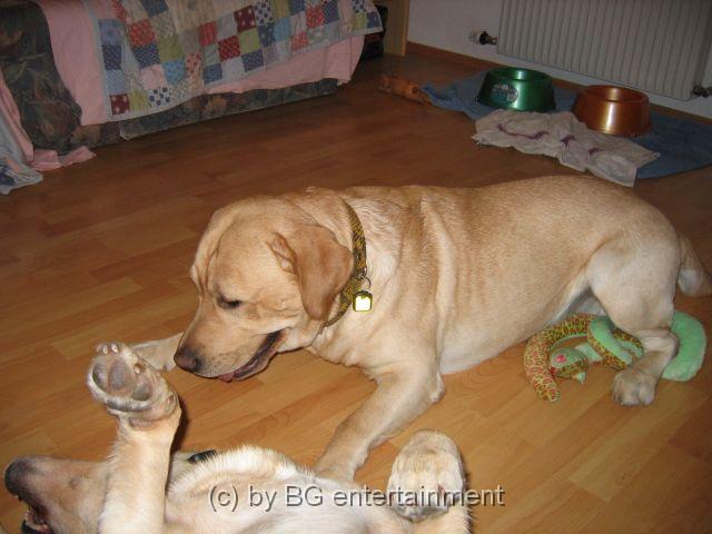 IMG_3789.jpg